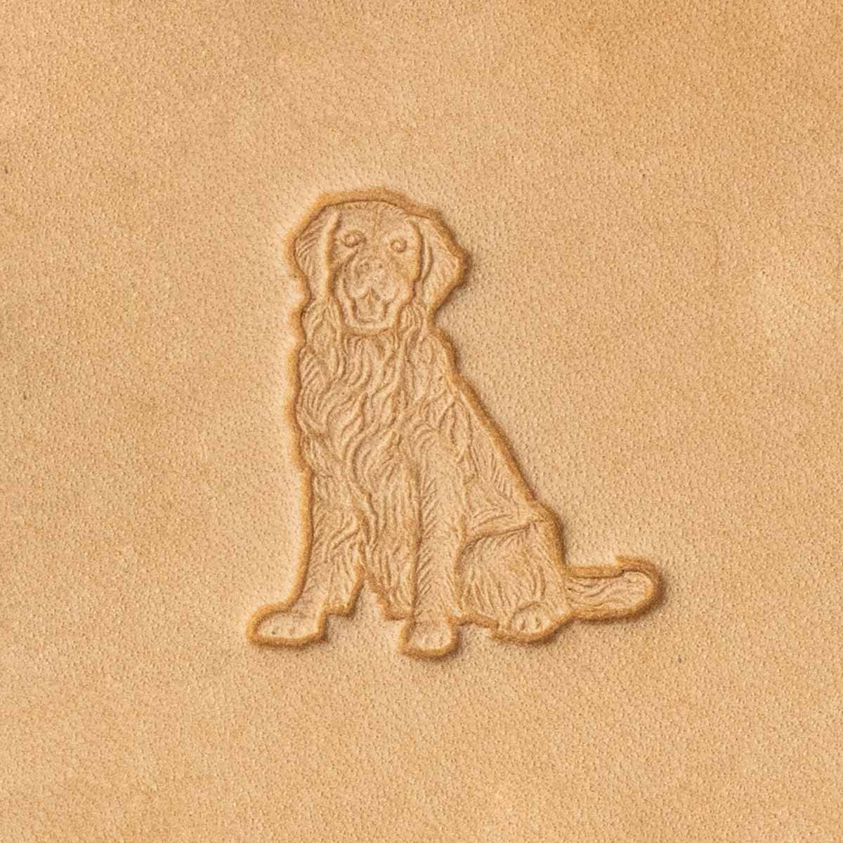 Matoir 3D - Chien Golden Retriever - 8730-00