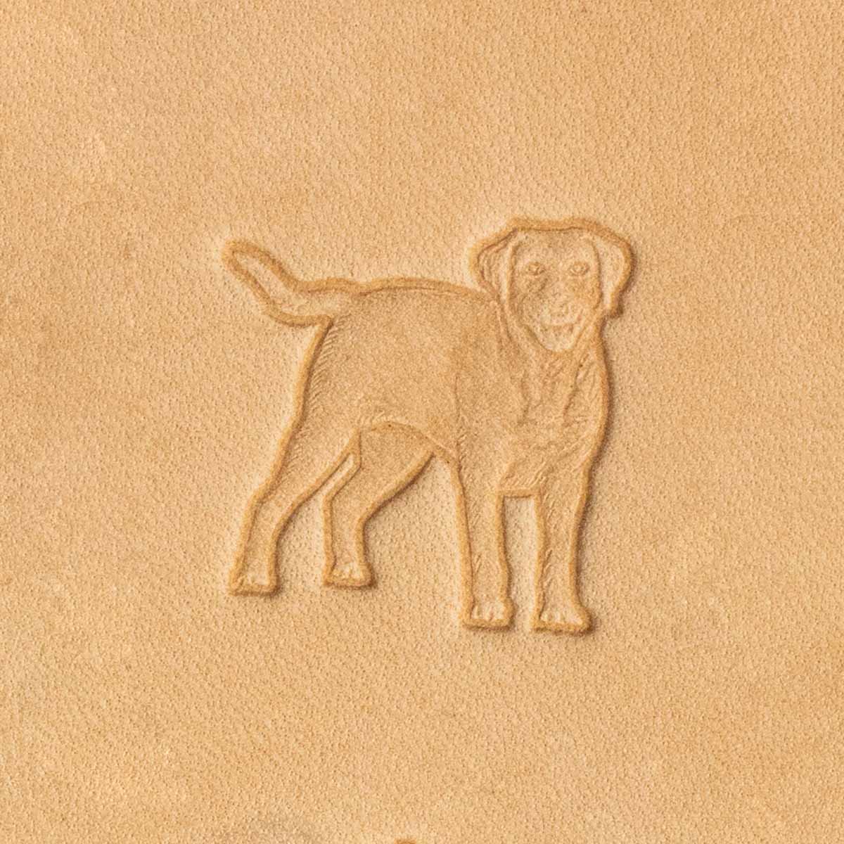 Matoir 3D - Chien Labrador  - 8734-00