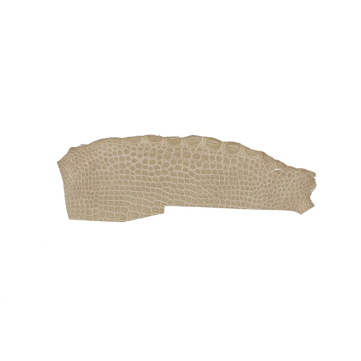 Petit flanc de cuir d'alligator couleur beige praline. Cuir d'alligator idéal pour la création de bijoux