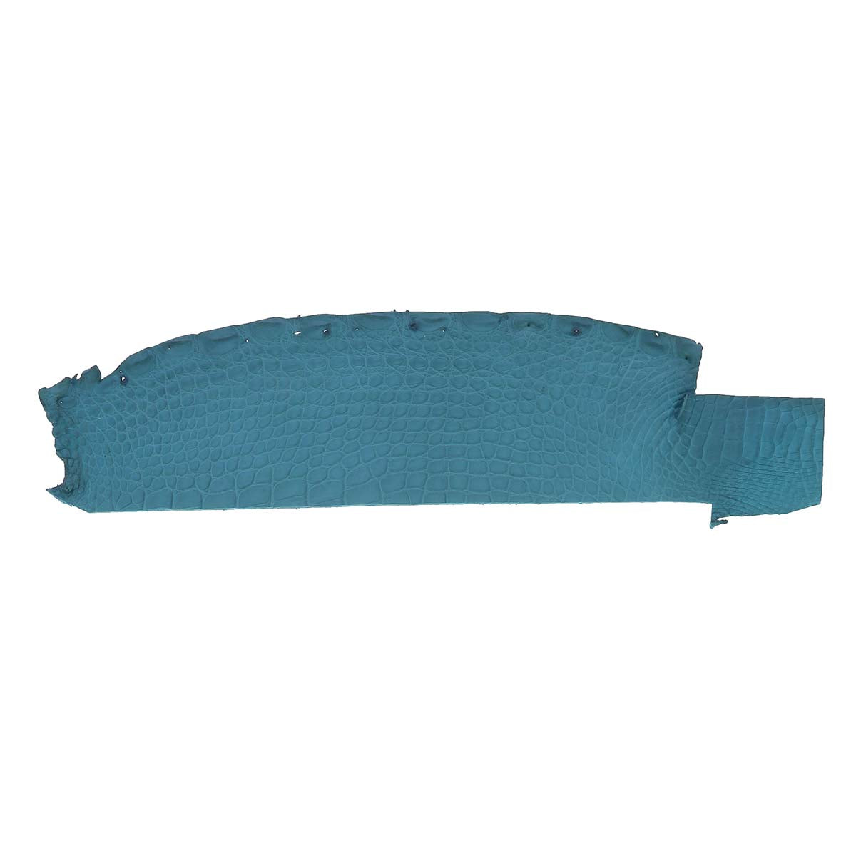 Découpe de flanc d'Alligator mat - BLEU TURQUOISE
