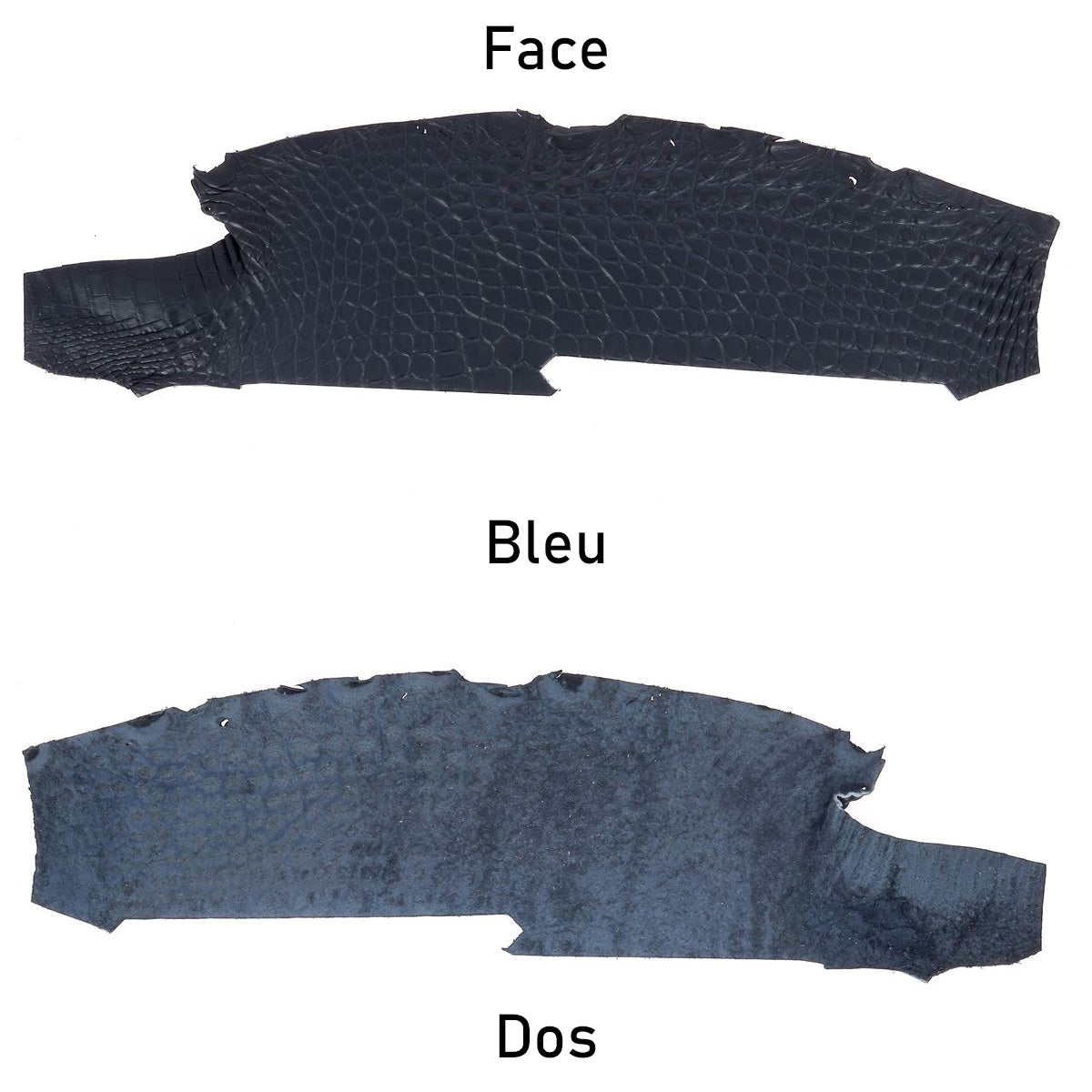 Bracelet De Montre En Cuir Bleu Crocodile Gaufré, 16 Mm, Boucle Ardillon, Allemagne
