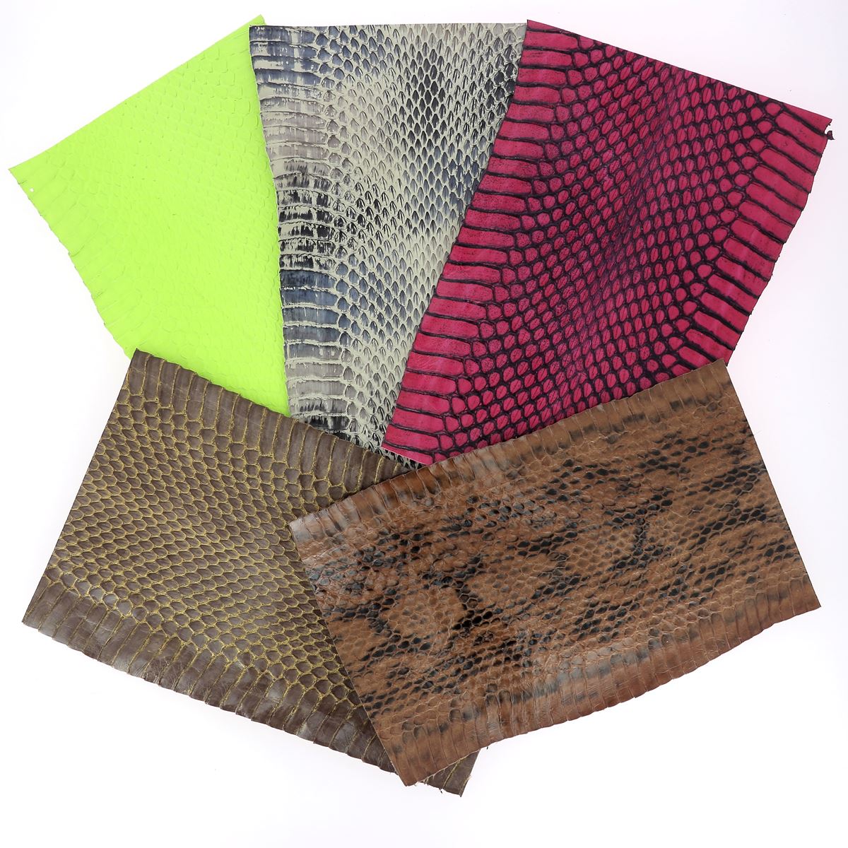 Lot SURPRISE de 5 morceaux de cuir de serpent - DIVERS - Longueur 20cm