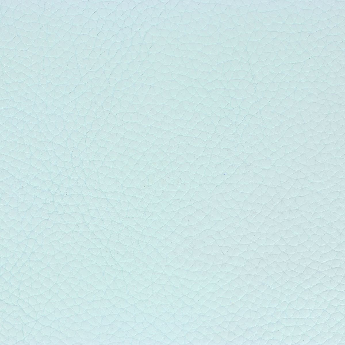 Morceau de cuir de taurillon GROGRAIN - BLEU CIEL N35