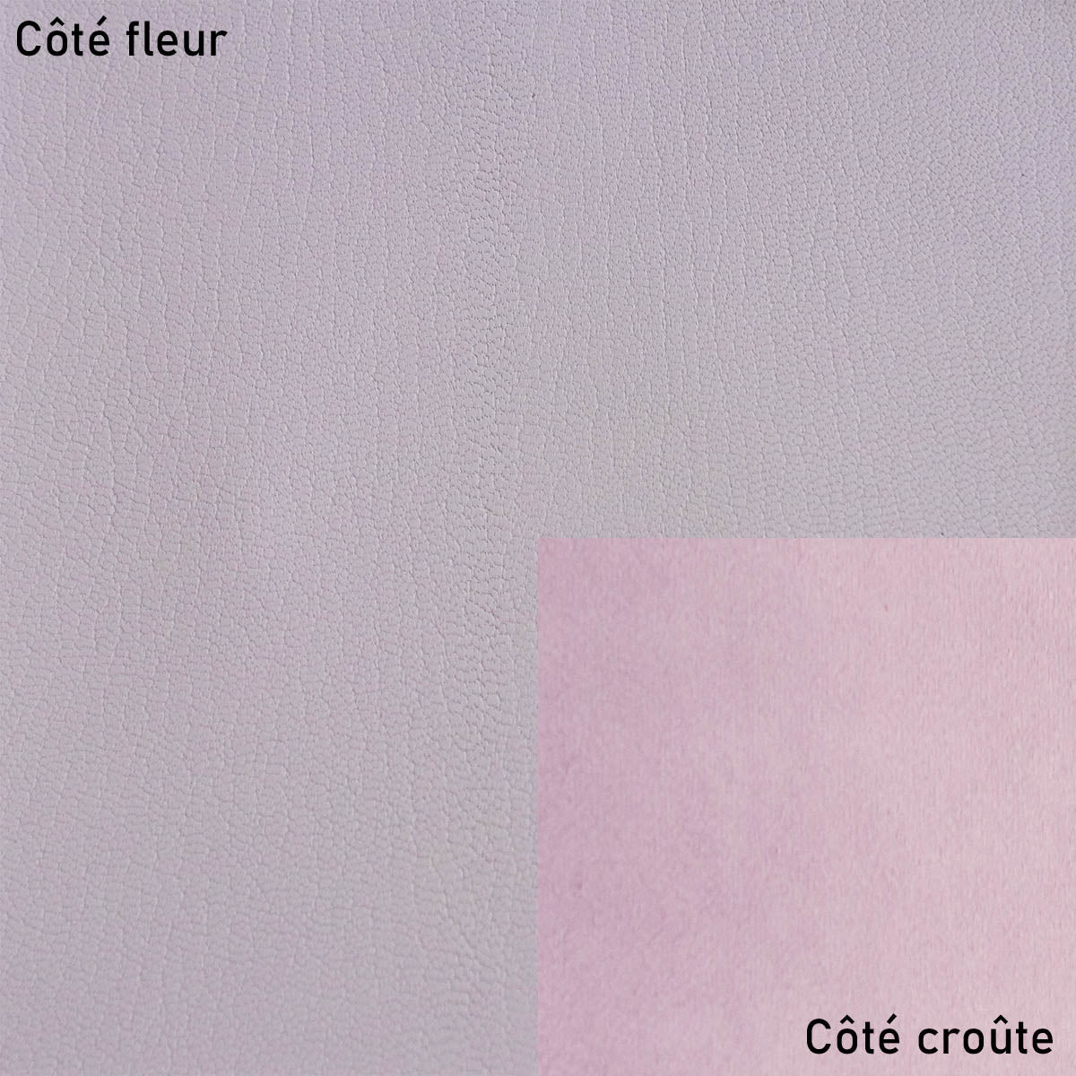 Peau de cuir de chèvre grainé - PARME R90