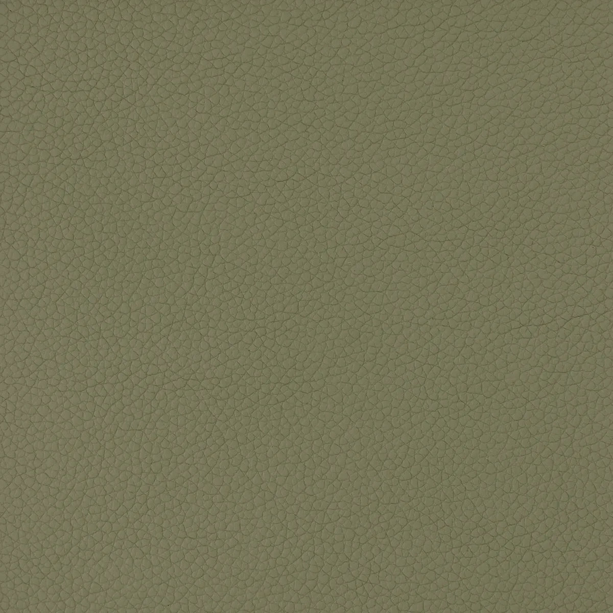 Morceau de cuir de vachette grainé vert kaki de la collection Océan. Pièce de cuir idéale pour la création de petite maroquinerie, accessoire, décoration...