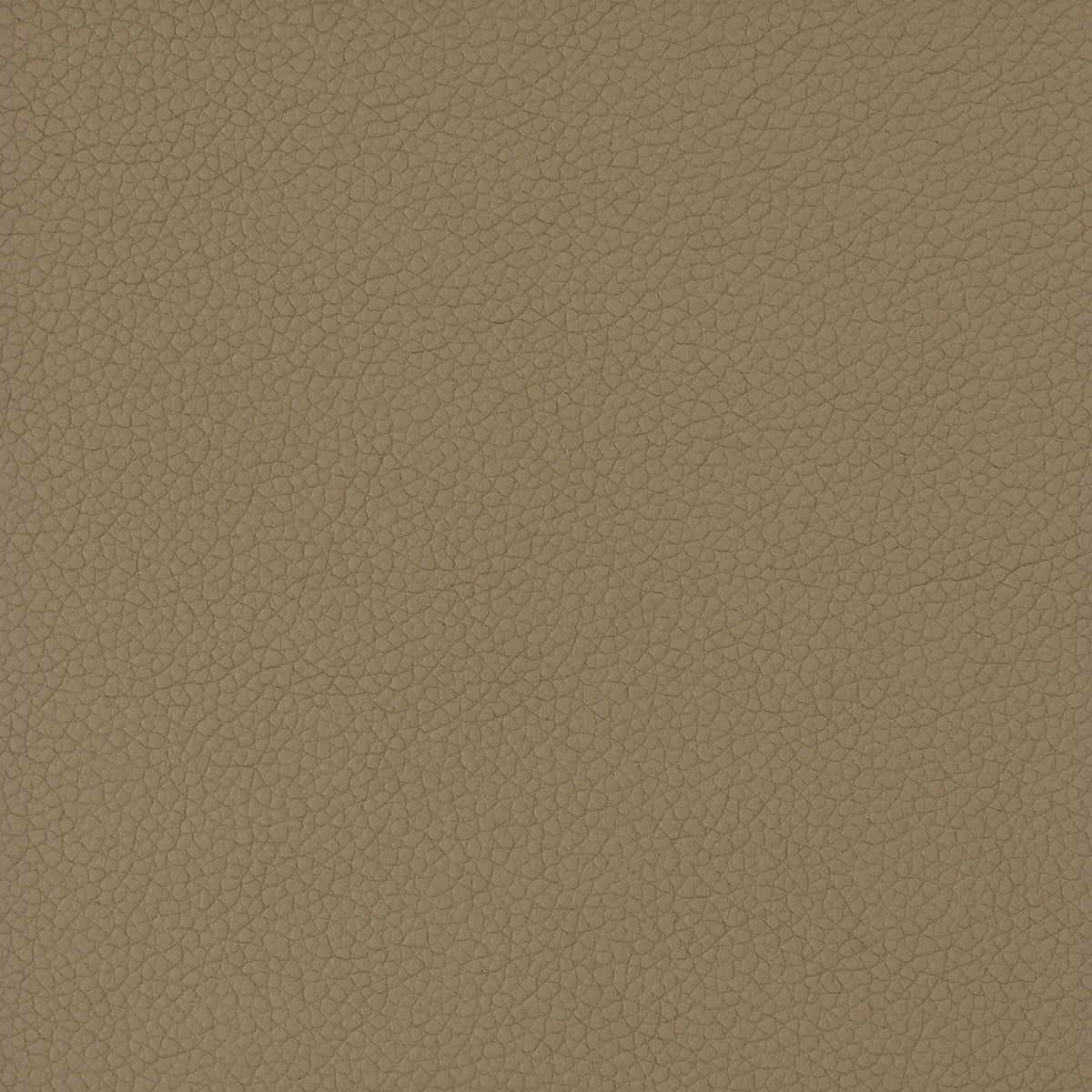 Morceau de cuir de vachette grainé vert kaki de la collection Océan. Pièce de cuir idéale pour la création de petite maroquinerie, accessoire, décoration...