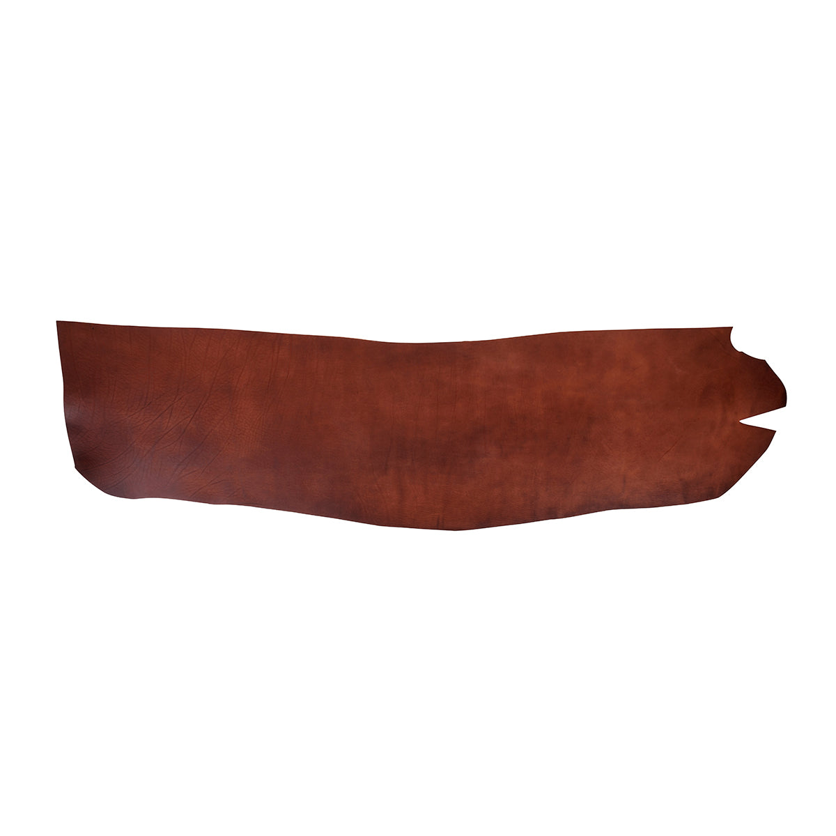 demi dosset havane Radermecker