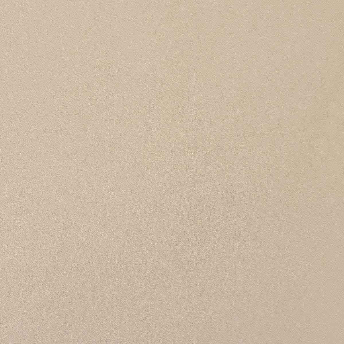 Morceau de collet tannage végétal naturel CLASSIC - Envers résiné incolore - Deco Cuir