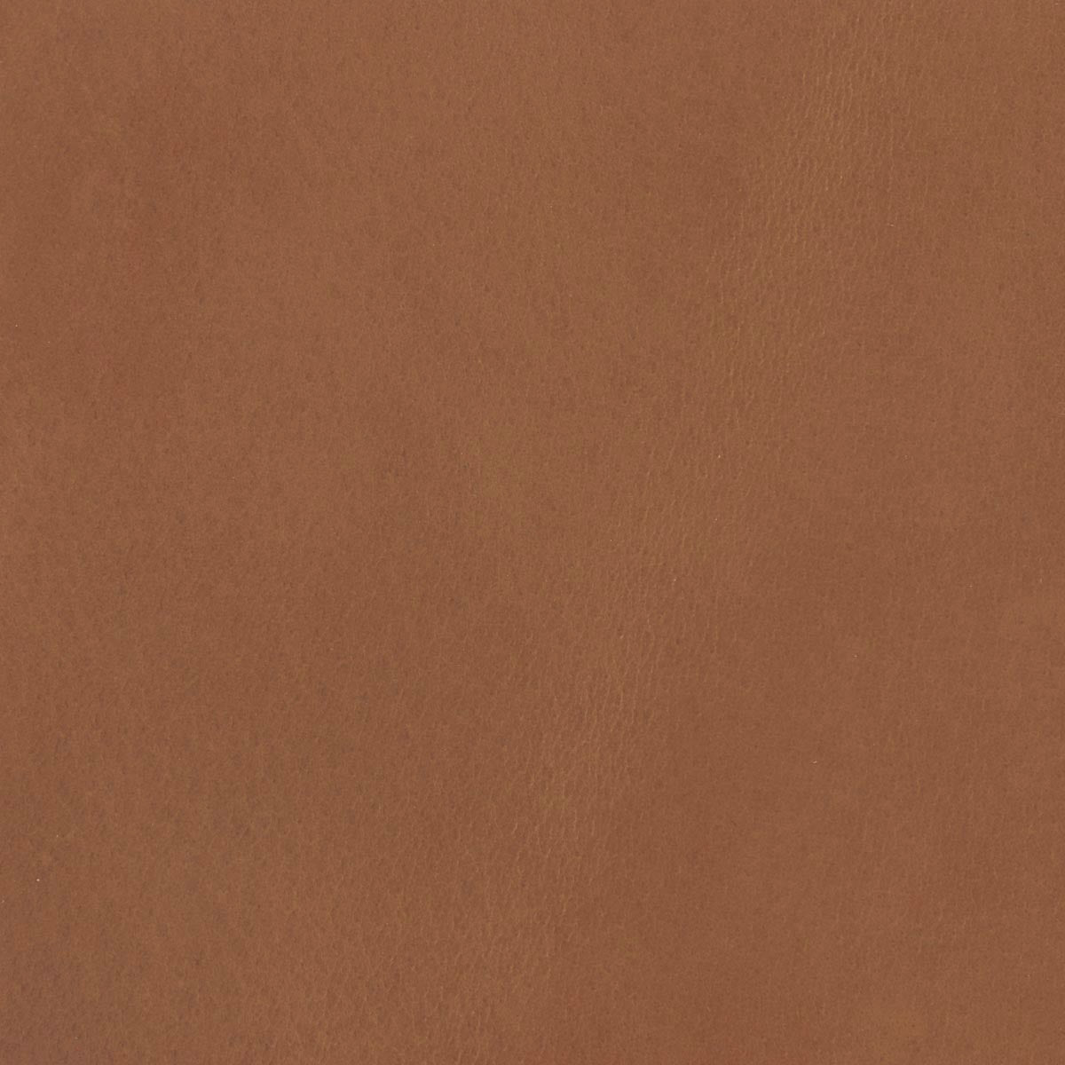 Morceau de cuir de croupon tannage végétal de couleur cognac, fabriqué par une marque non spécifiée, vue en gros plan.