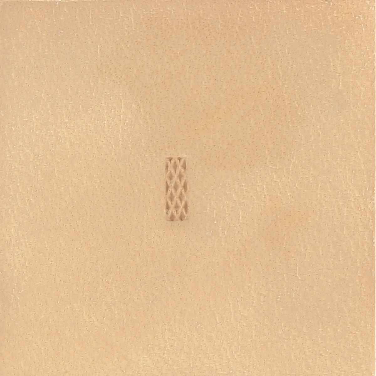 Matoir avec manche - Fond - 6889x300.jpg