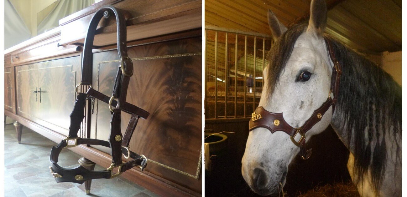 tutoriel licol en cuir