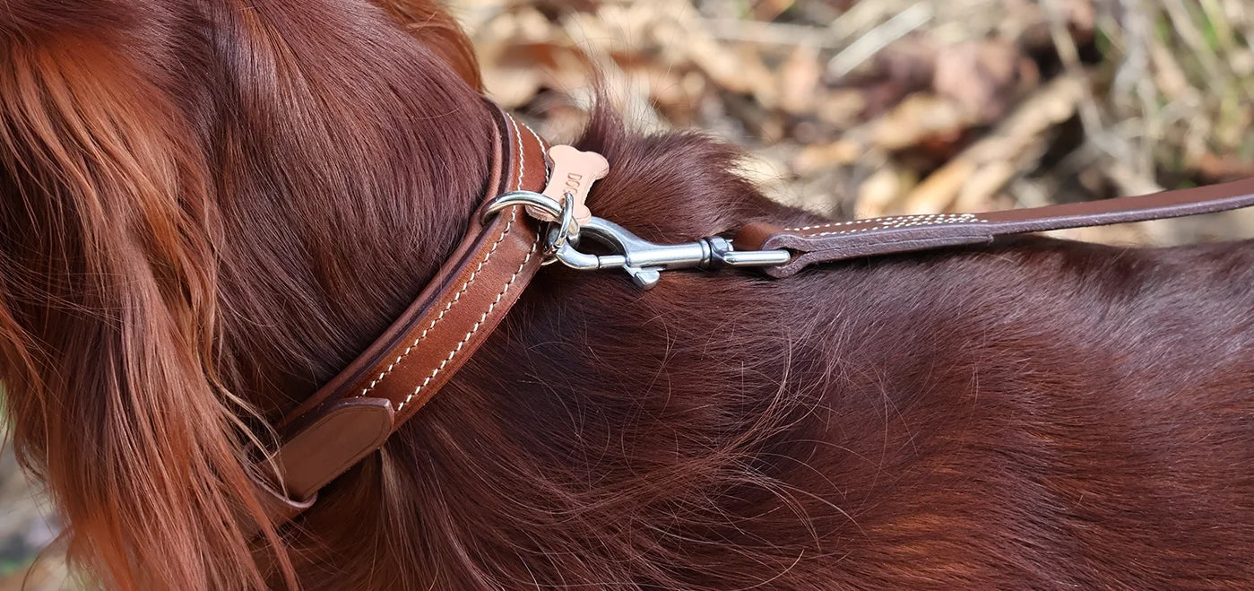 tutoriel faire son collier pour chien en cuir