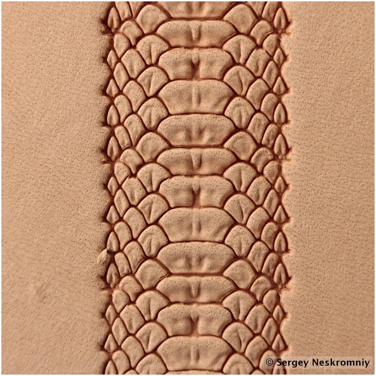 Timbre cuir peau de python - Sergey Neskromniy n° 395