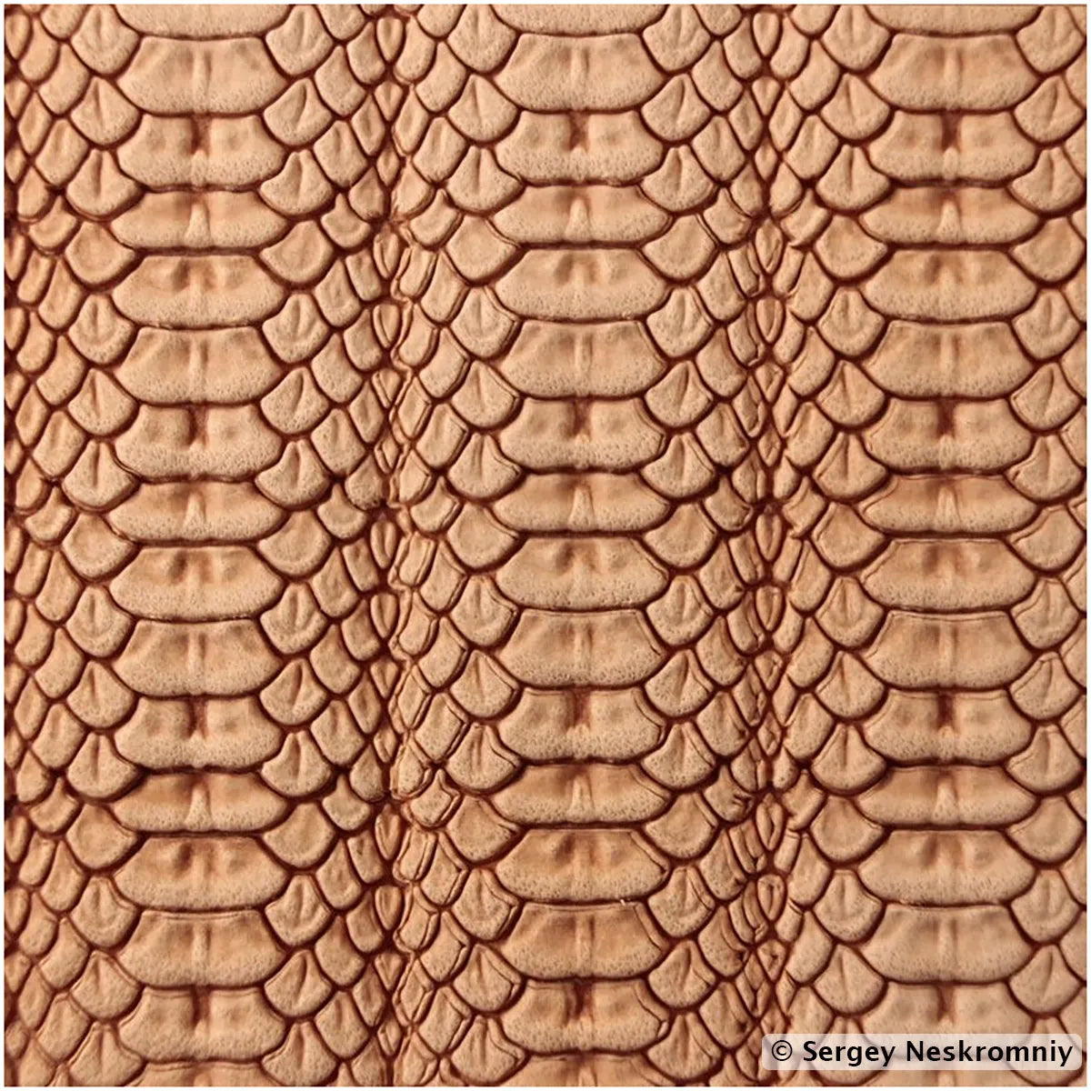 Tampon cuir peau de serpent - Sergey Neskromniy n° 395
