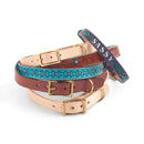 Kit de fabrication DIY - Collier de chien en cuir - Tandy Leather 44707