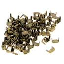 Lot de 100 agrafes pour passant en cuir - Acier, finition Laiton
