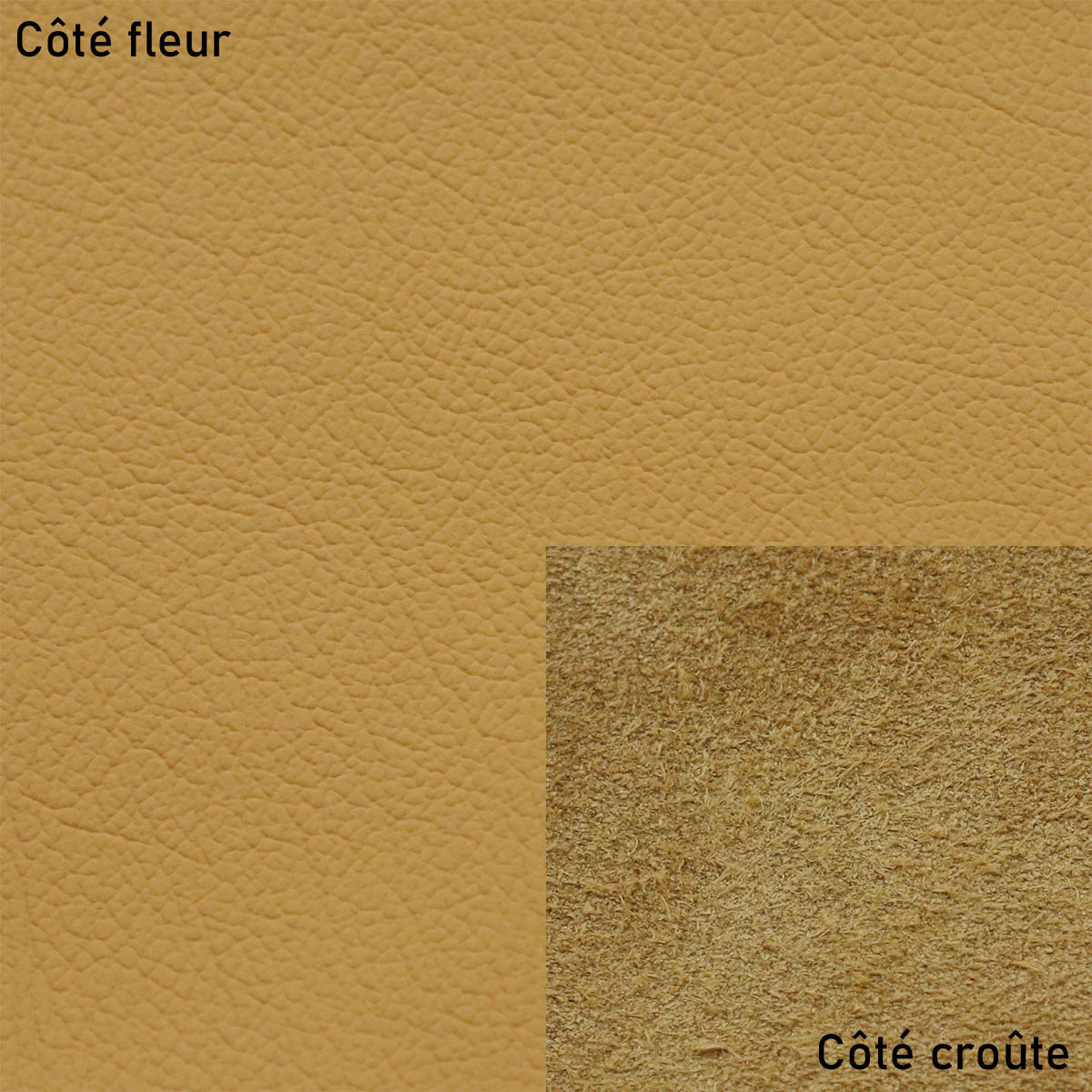 Peau de cuir automobile grain naturel - OCRE