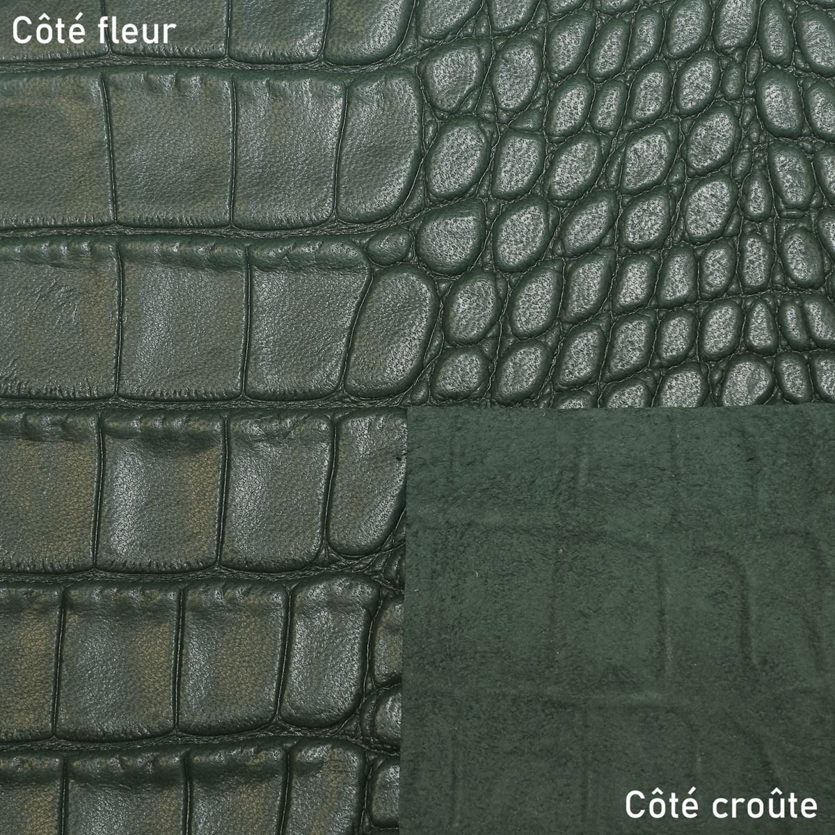 Basane Cuir de basane FRANCE imitation crocodile - ANILINE - VERT BAF17 | Deco ...