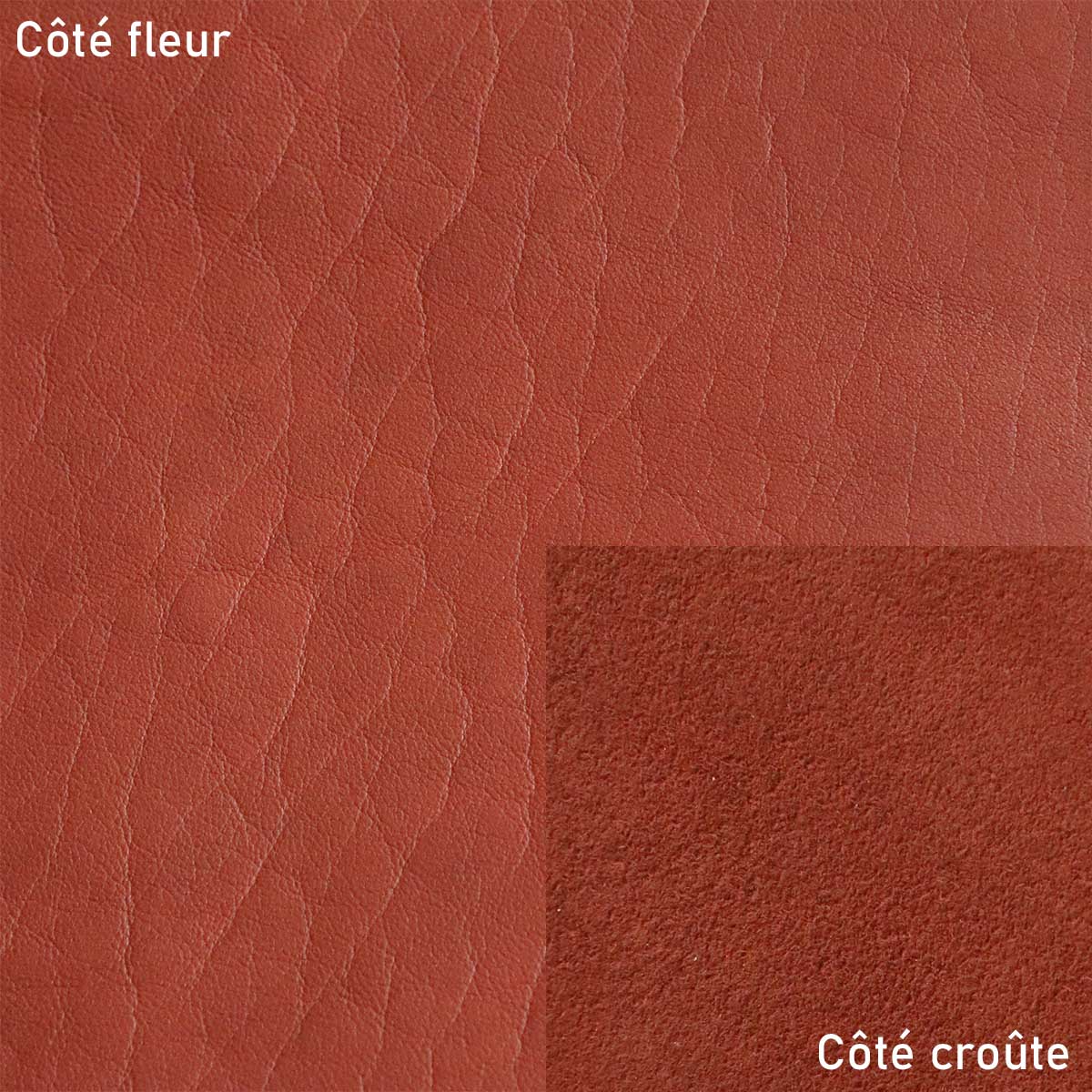 Peau entière de cuir de basane FRANCE - ANILINE - ROUX BAF29