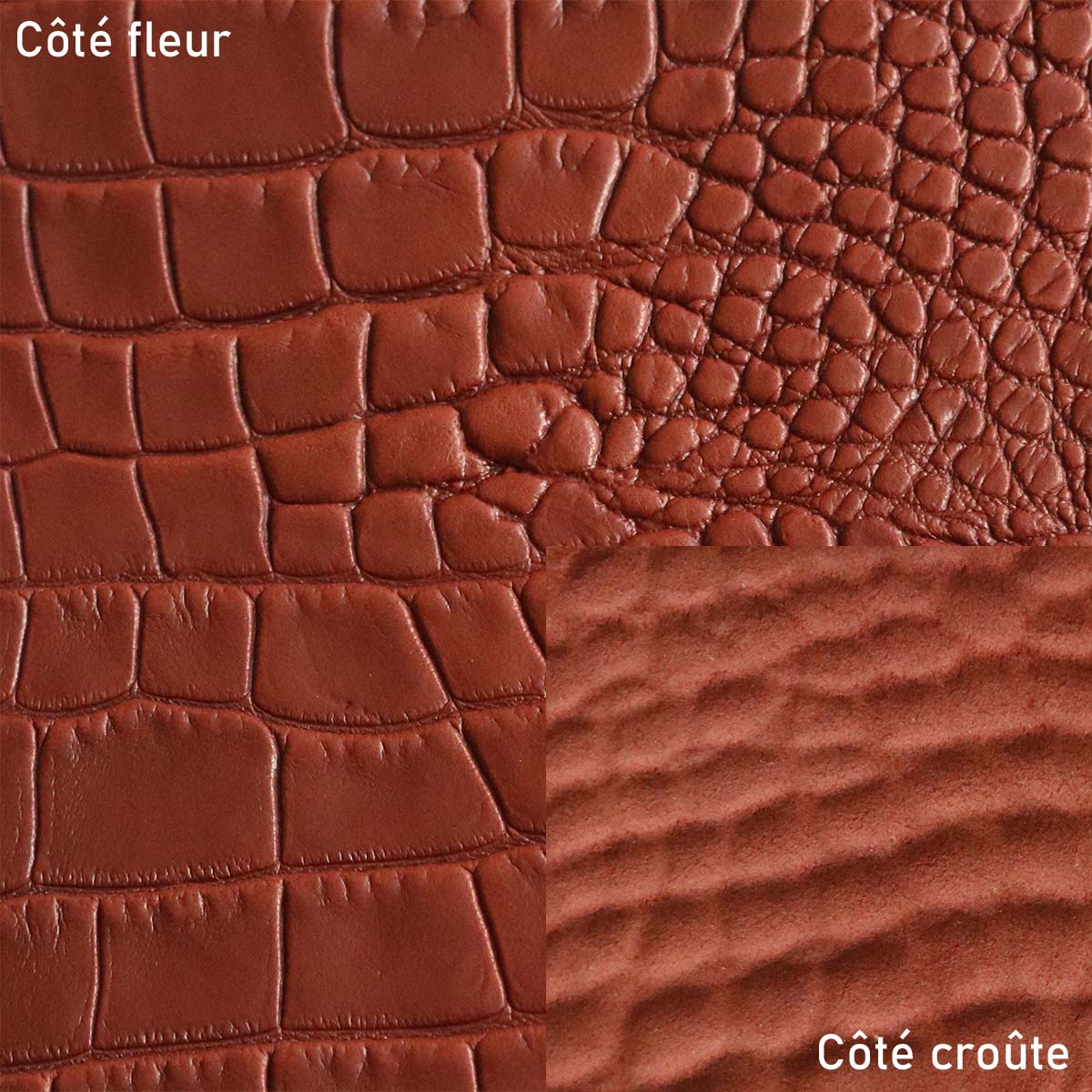 Peau entière de cuir de basane FRANCE imitation Caïman - ANILINE - ROUX BAF30