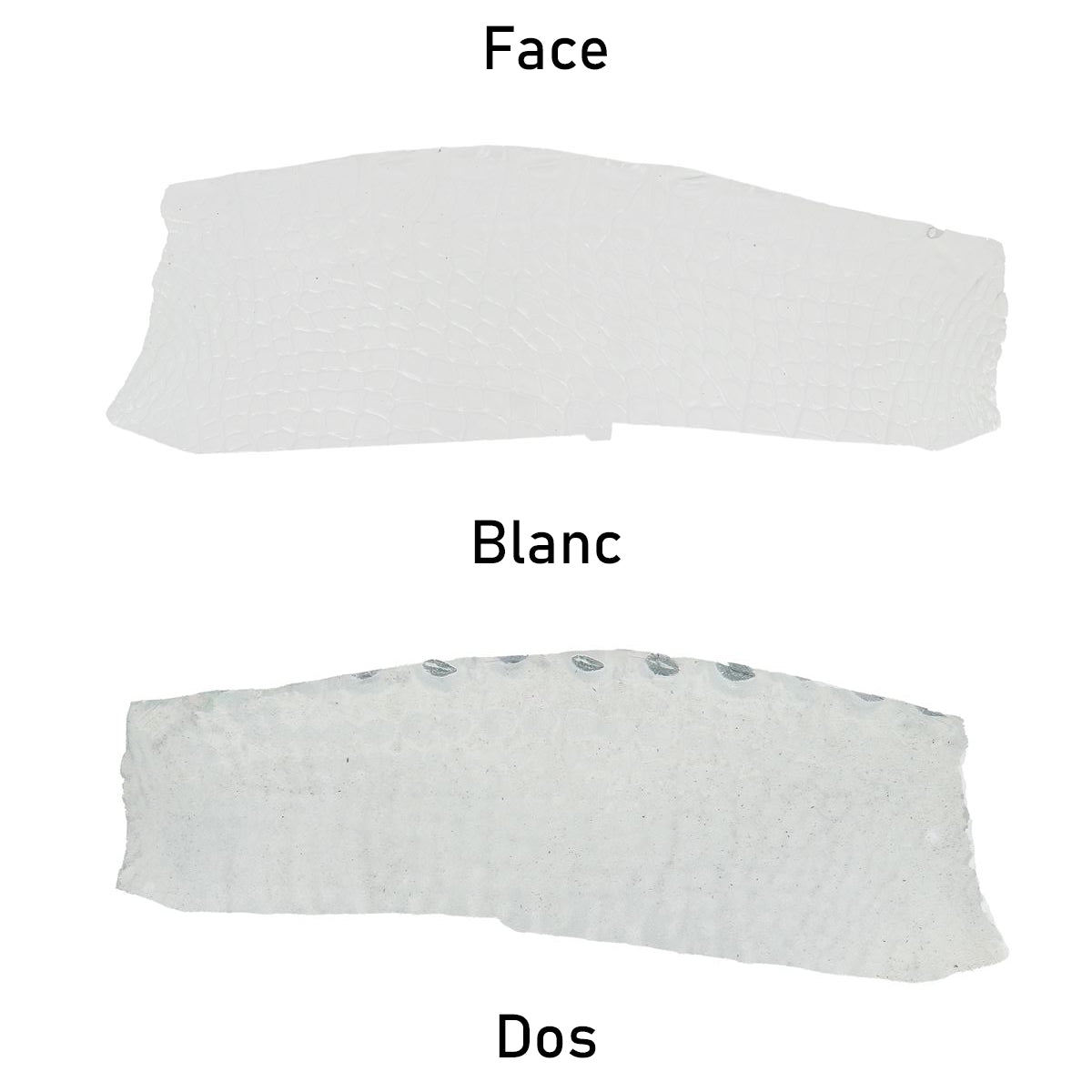 cuir alligator crocodile deco cuir