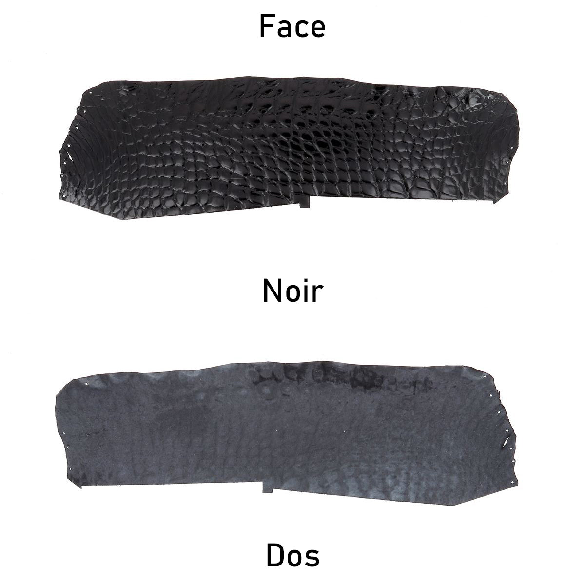 cuir alligator crocodile deco cuir