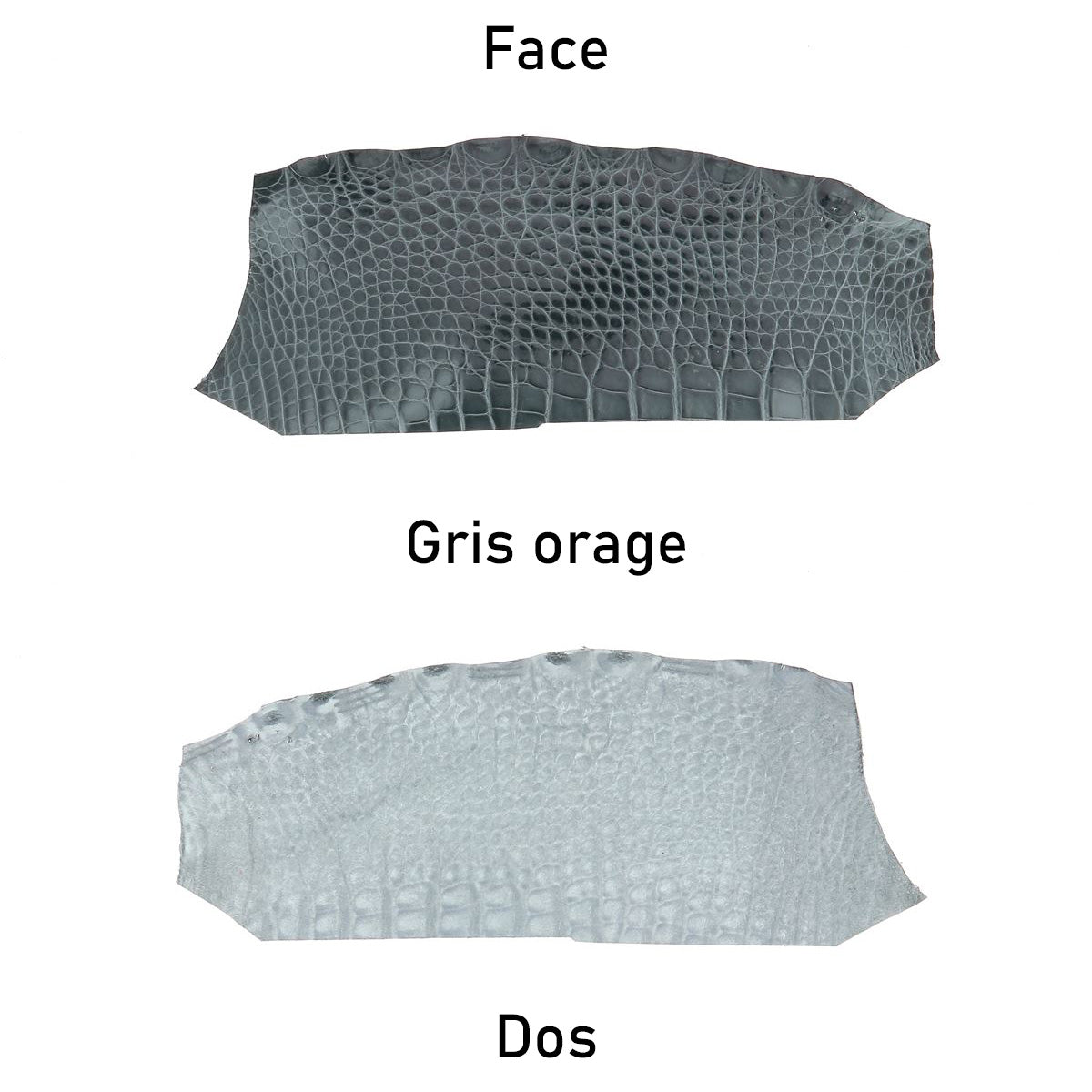 cuir alligator crocodile deco cuir