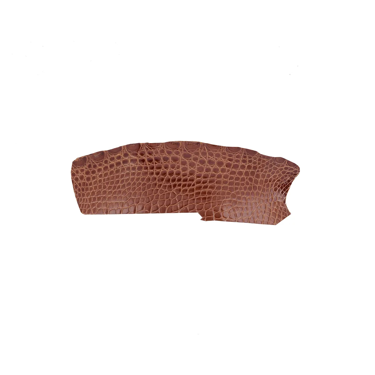 Petit morceau de cuir d'alligator brillant de couleur marron miel, utilisé pour la maroquinerie de luxe.