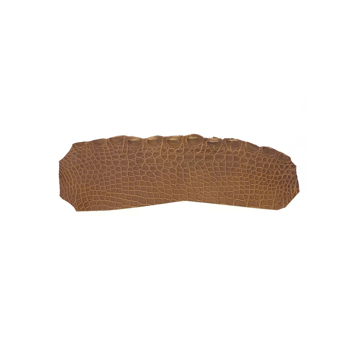 Petite découpe de flanc d'Alligator brillant marron noisette