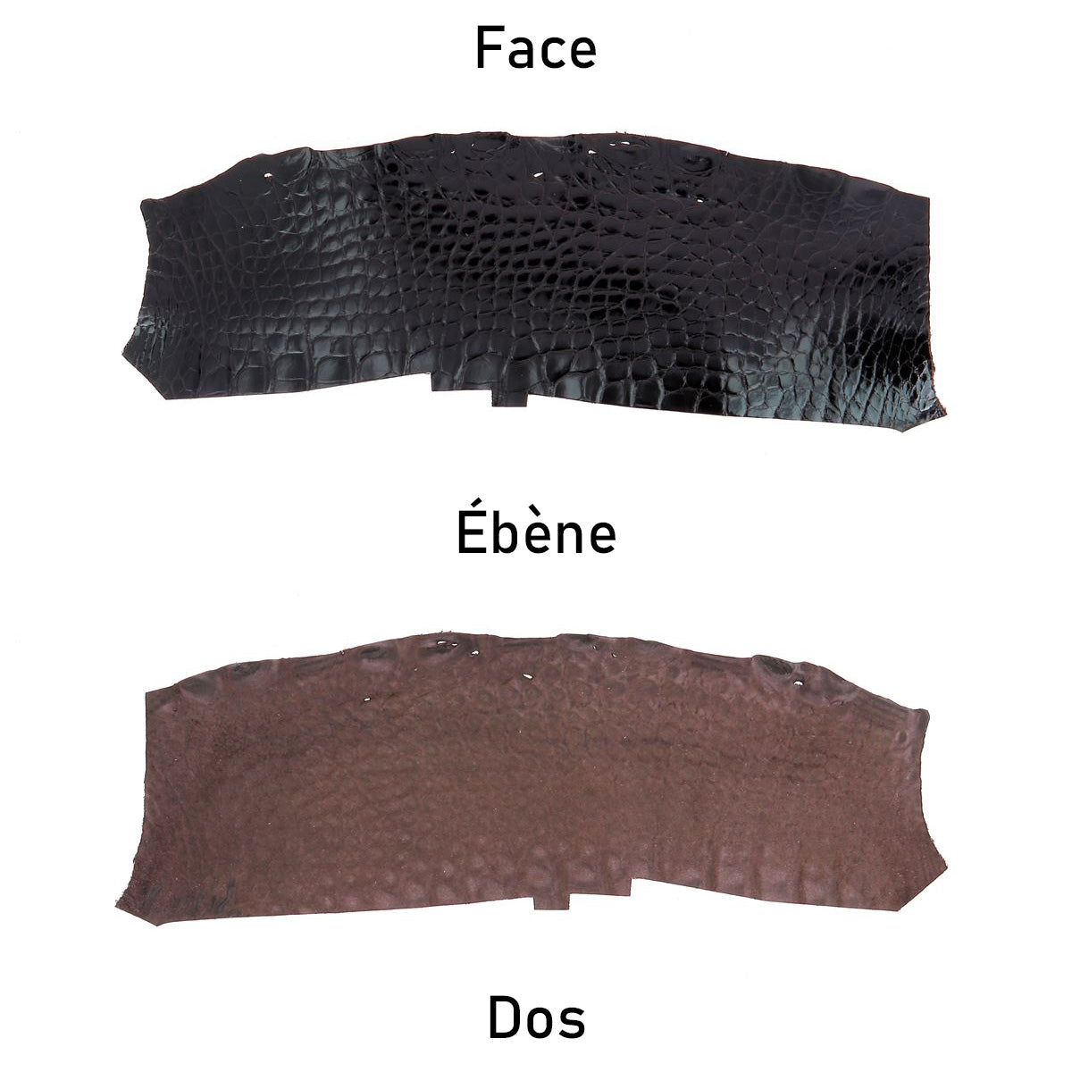 cuir alligator crocodile deco cuir