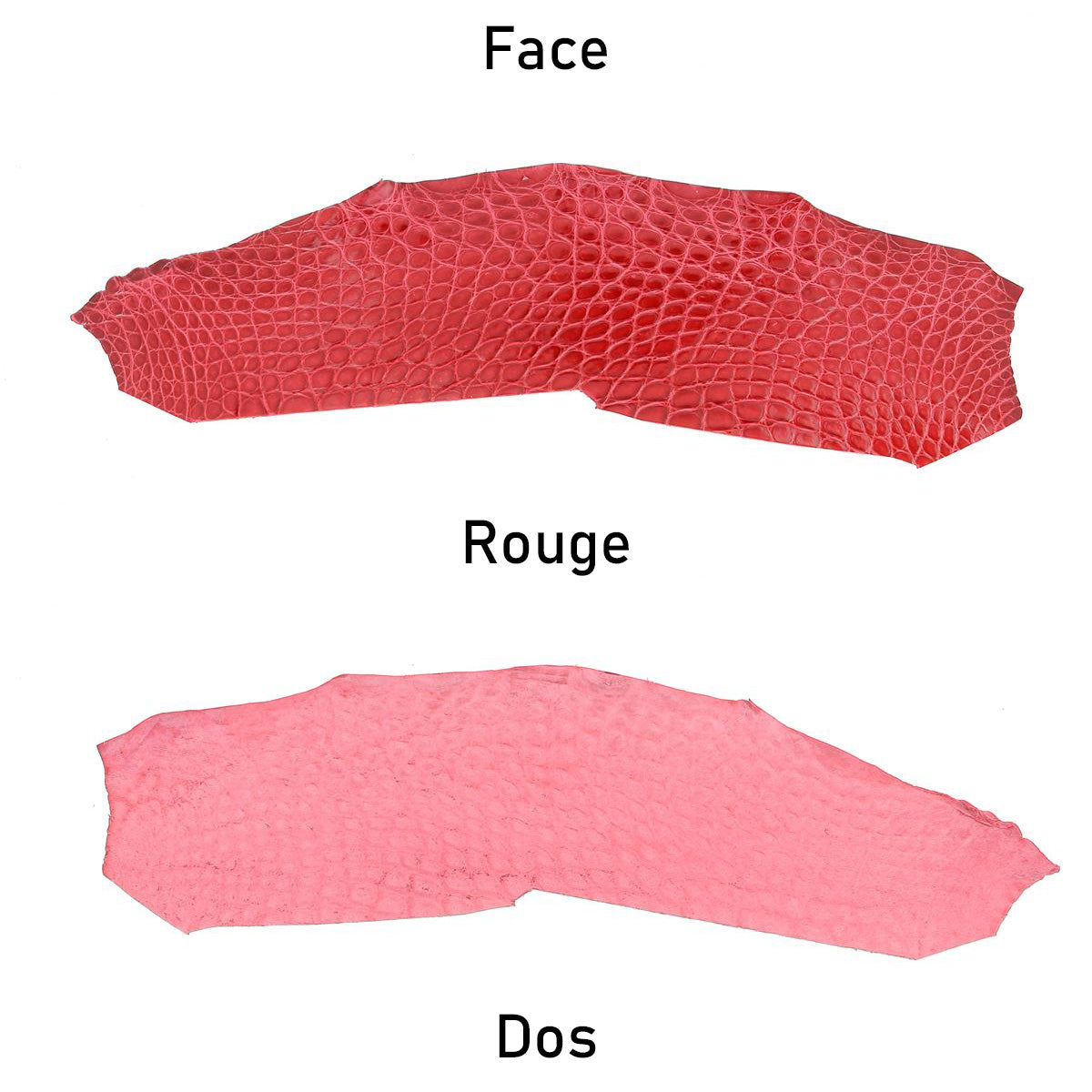 cuir alligator crocodile deco cuir