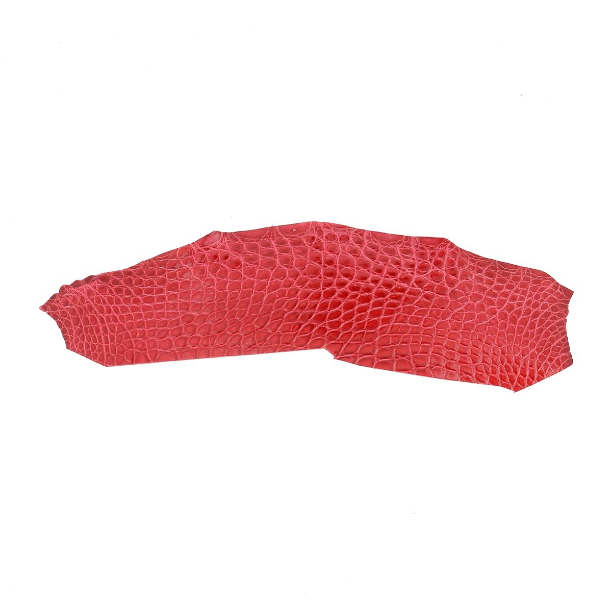Découpe de flanc d'Alligator brillant - ROUGE