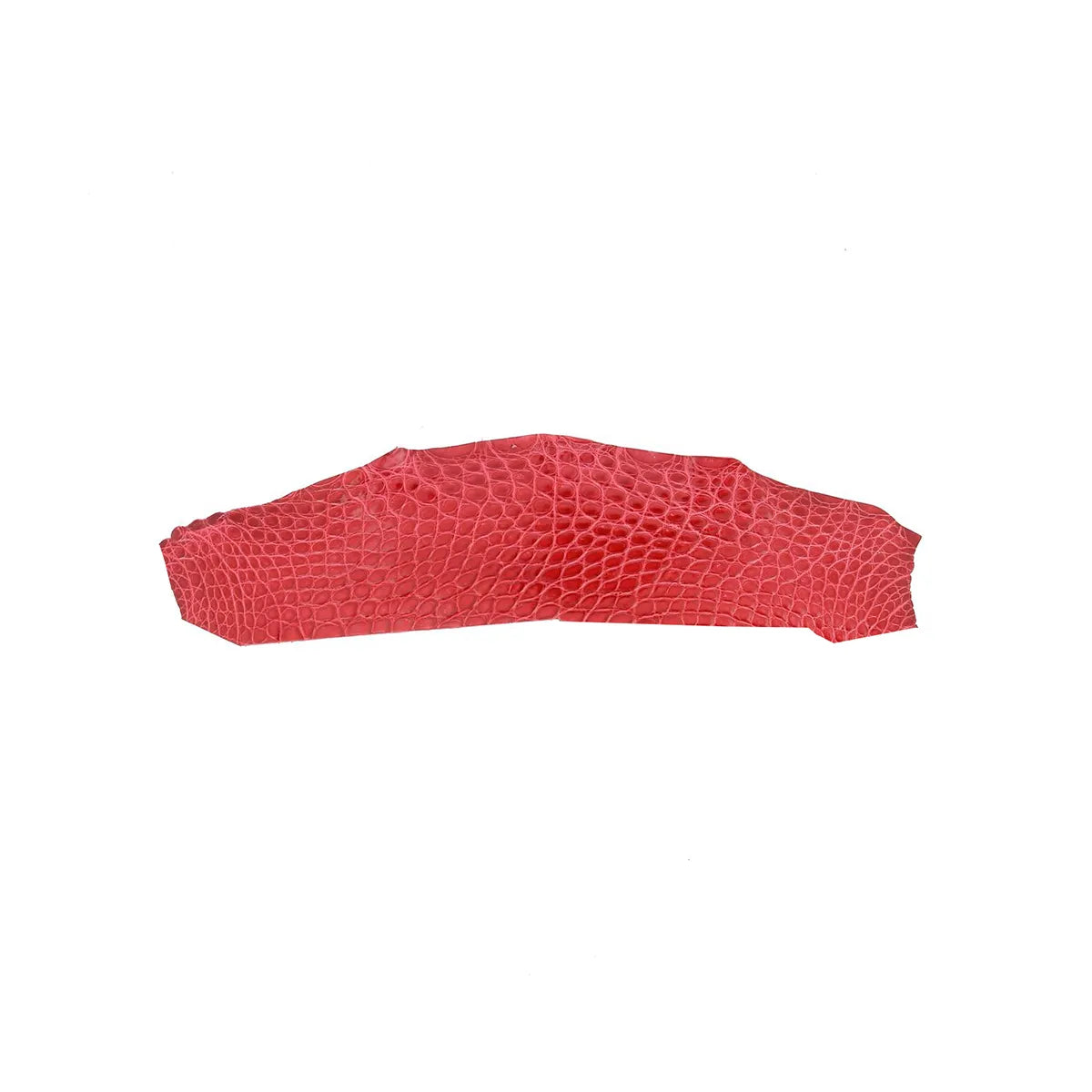 Morceau de cuir d'alligator brillant rouge, texture luxueuse, destiné à la confection de produits haut de gamme.