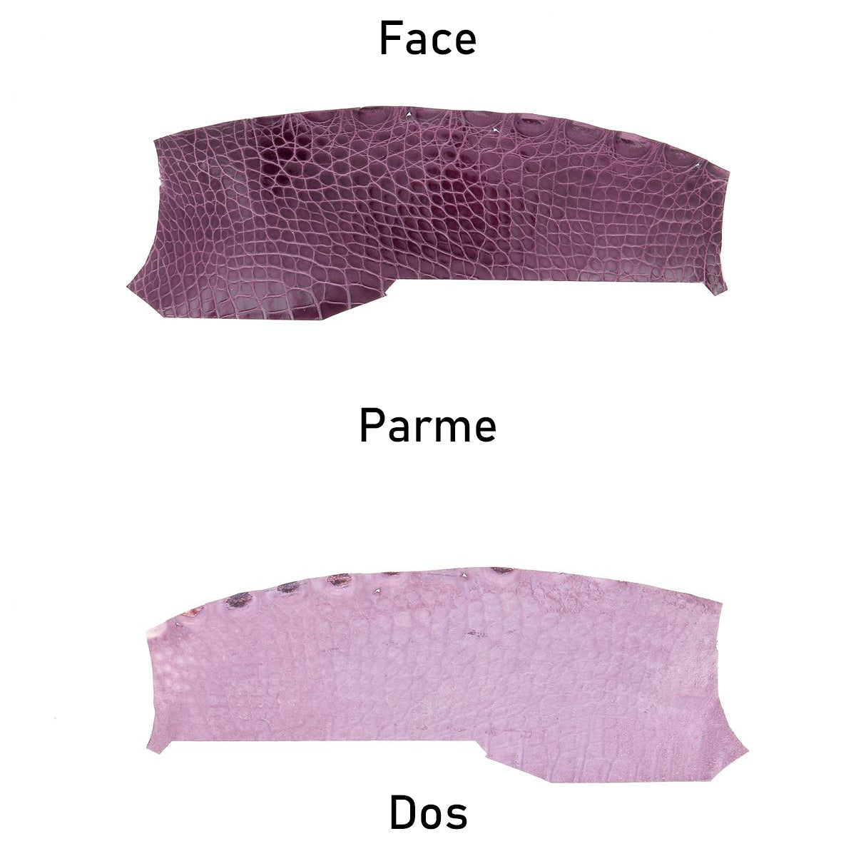 cuir alligator crocodile deco cuir