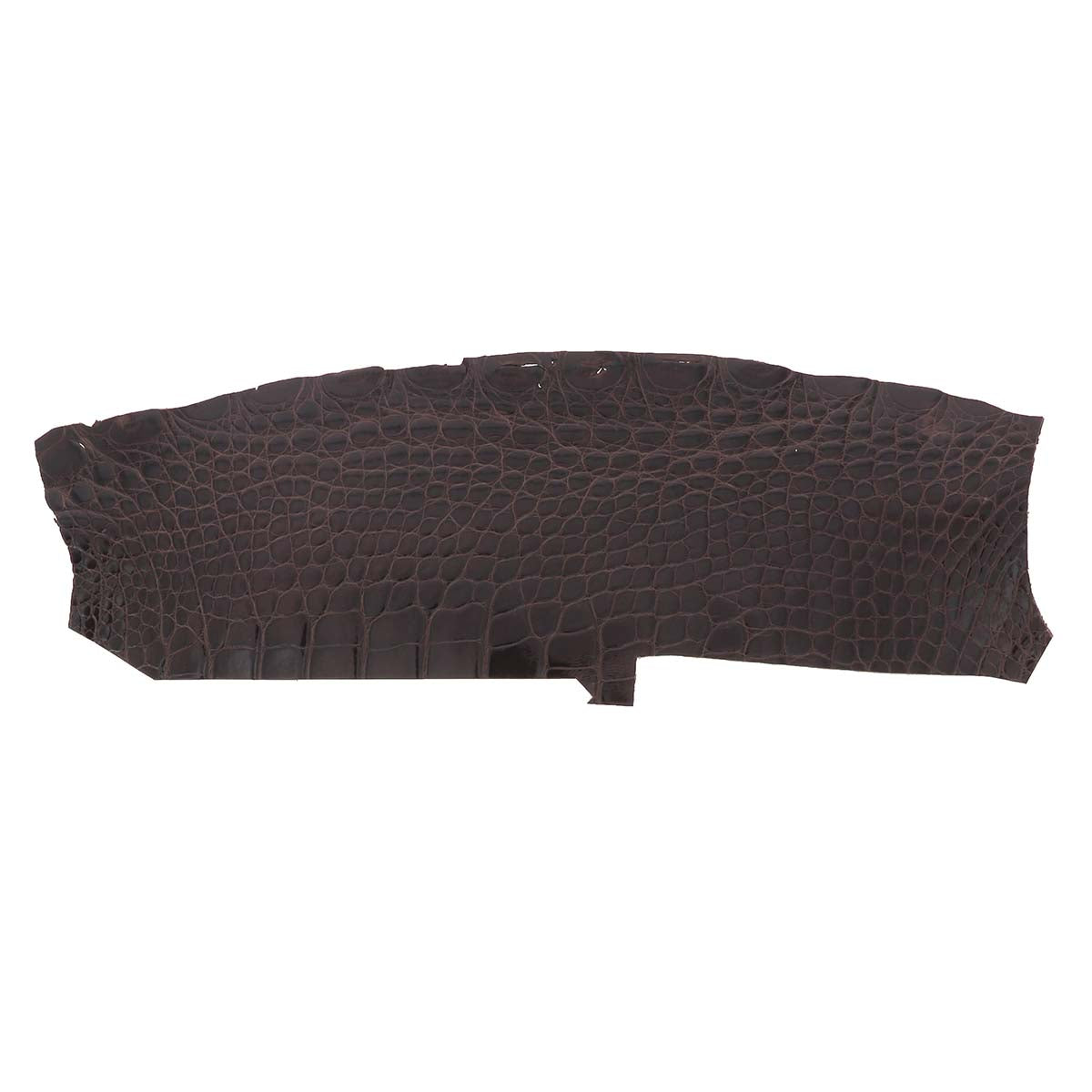 Découpe de flanc d'Alligator brillant - MARRON FONCÉ