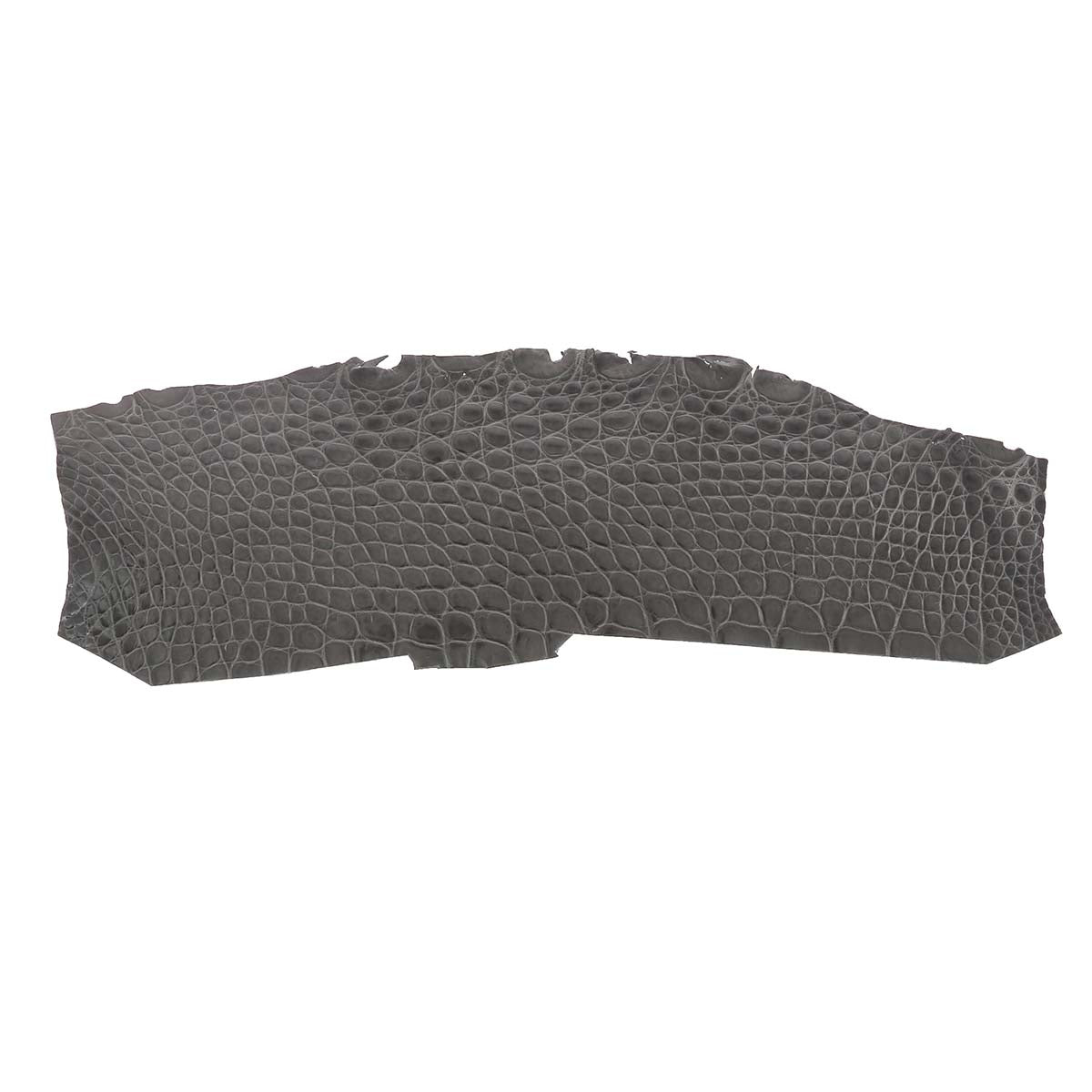 Découpe de flanc d'Alligator brillant - GRIS