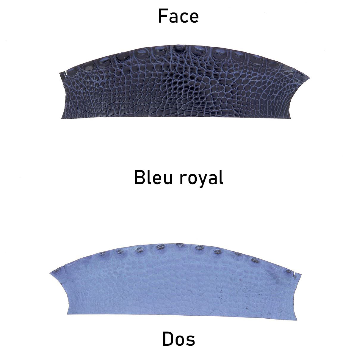 cuir alligator crocodile deco cuir