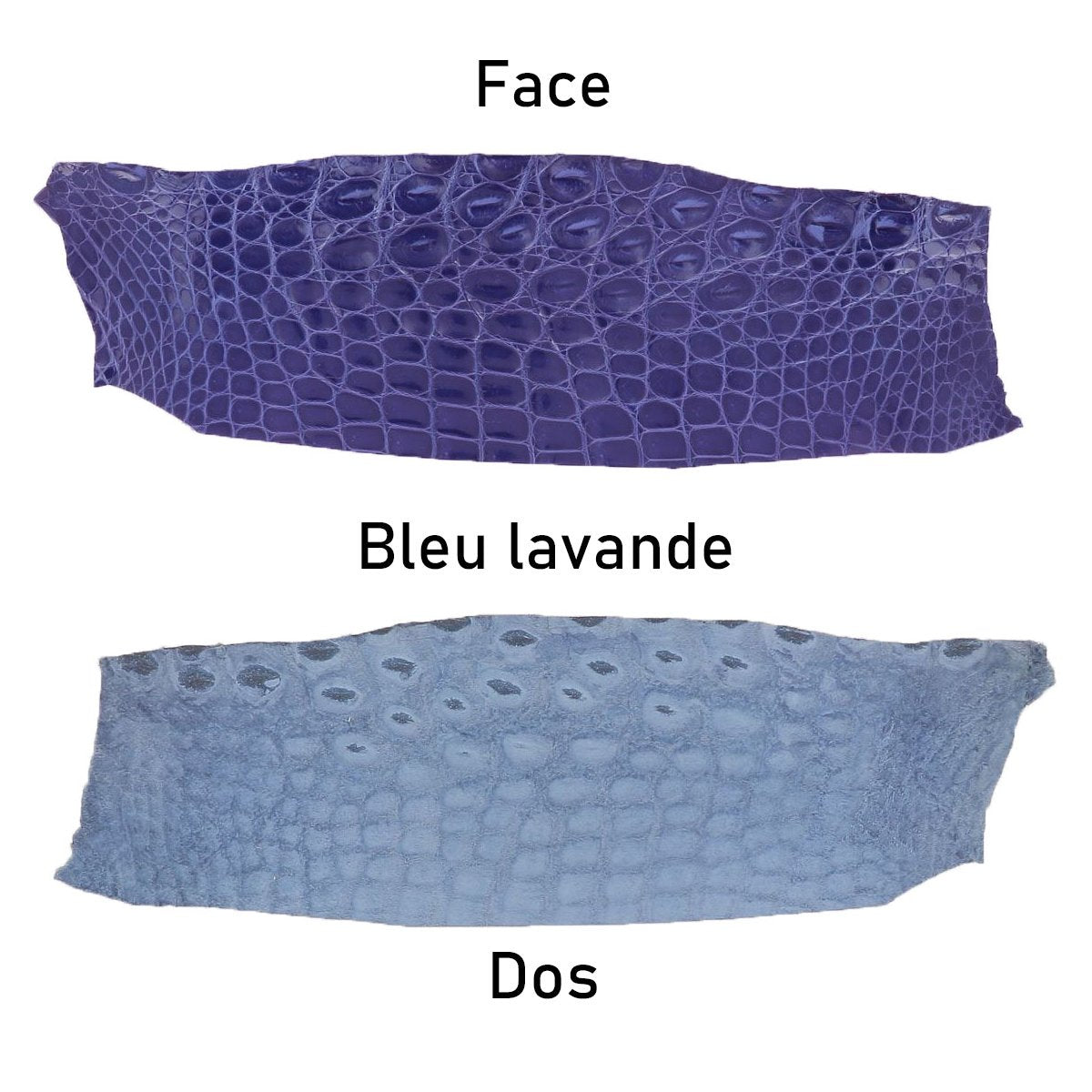 Billets RCA Selle Flanc Arrière Cuir – Motif Floral Usiné