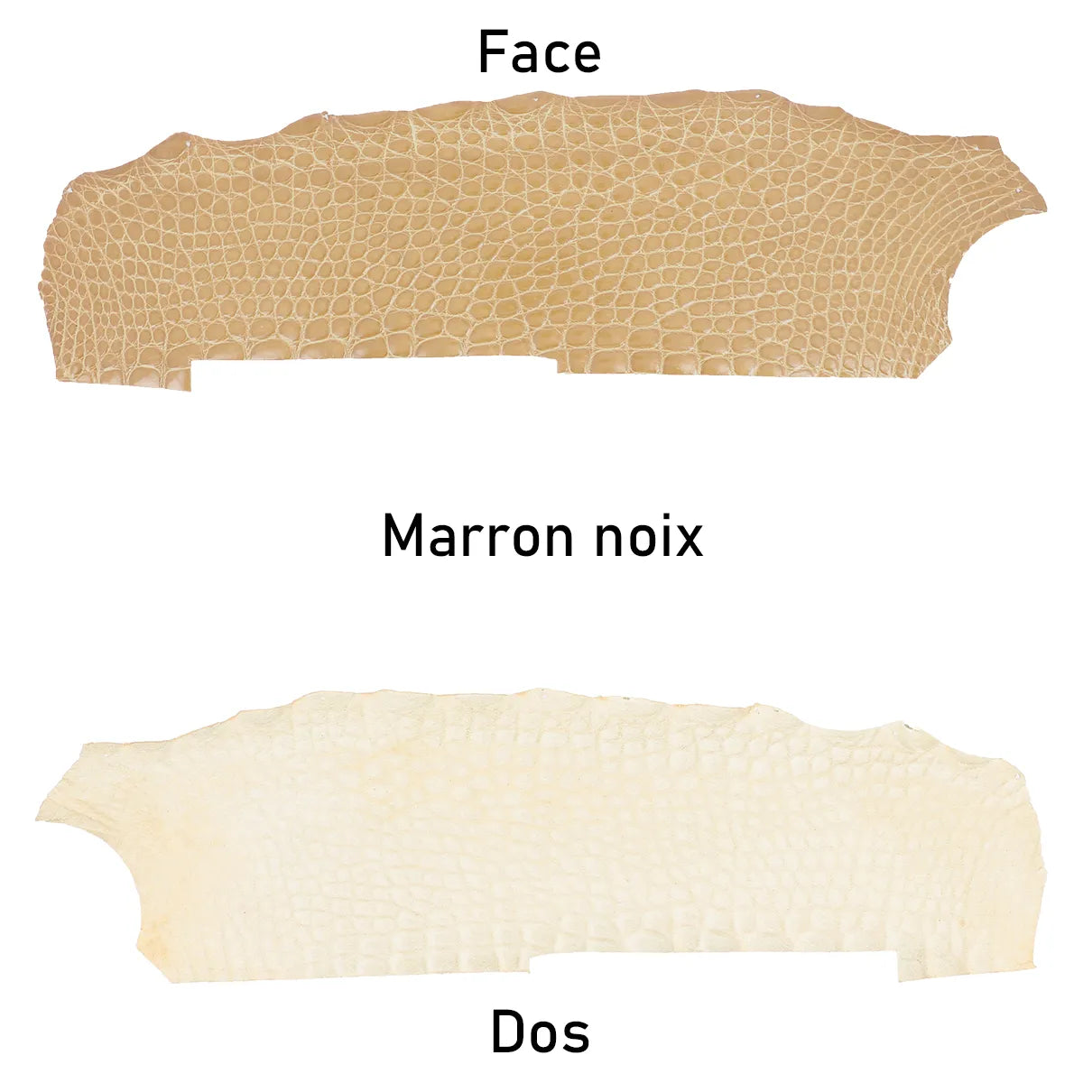 Cuir d'alligator marron noix clair, matière de haute qualité et résistante idéale pour des créations originales