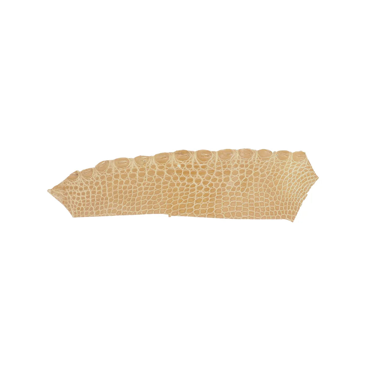 Cuir exotique d'alligator couleur marron noix clair, écailles lumineuses idéales pour la réalisation de bijoux, bracelets de montre...