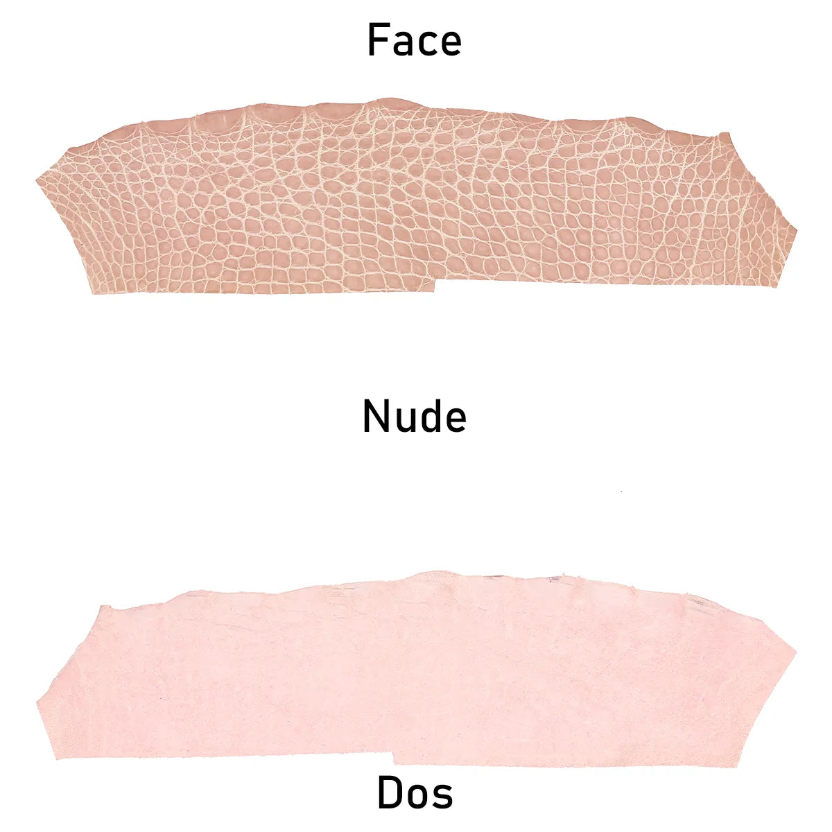 Morceau de cuir de croco d'alligator rose clair finition brillante idéal pour la maroquinerie 
