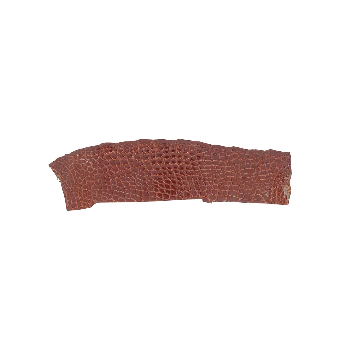 Petite découpe de flanc de cuir d'alligator marron acajou brillant pour création de bijoux, maroquinerie et accessoire