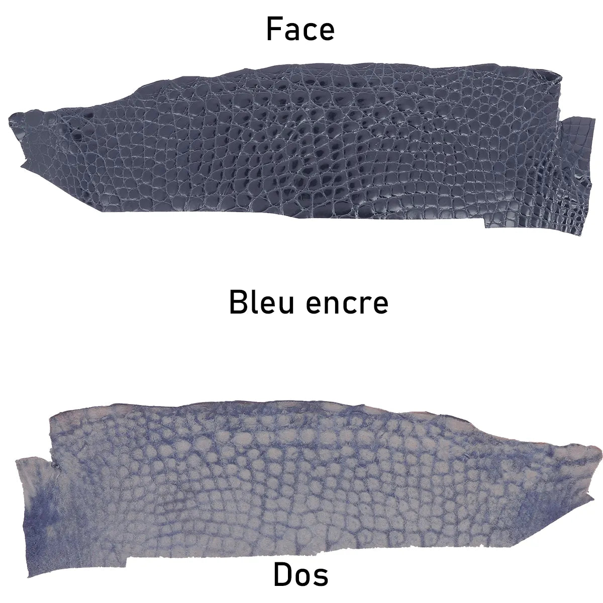 Cuir d'alligator bleu foncé finition brillante idéal pour la confection d'articles haut de gamme