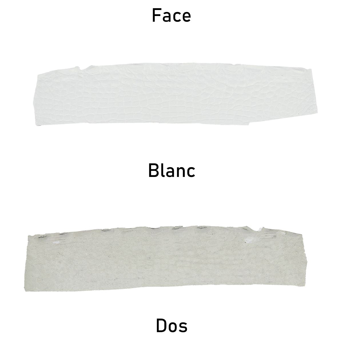 cuir alligator crocodile deco cuir