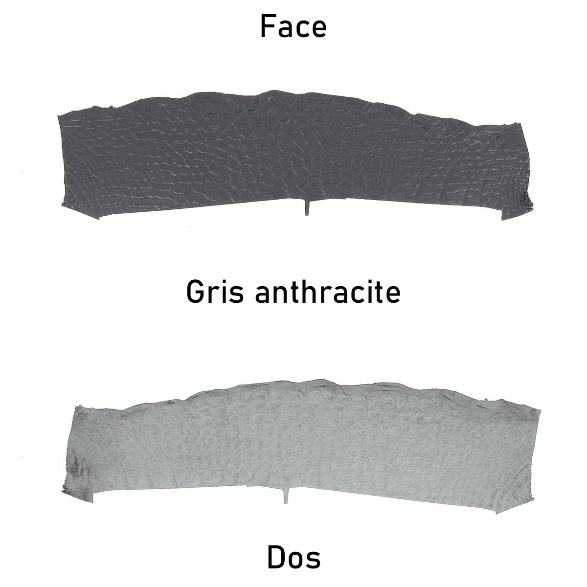 cuir alligator crocodile deco cuir