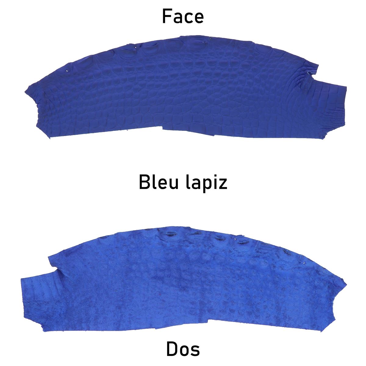 Flanc de cuir d'alligator mat