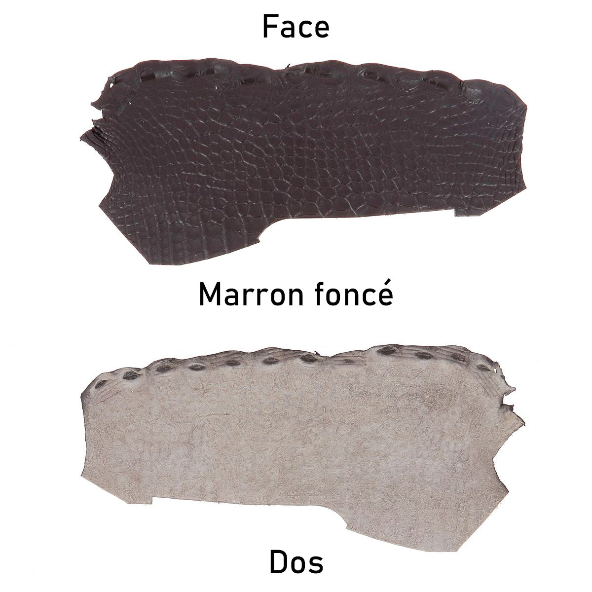 cuir alligator crocodile deco cuir