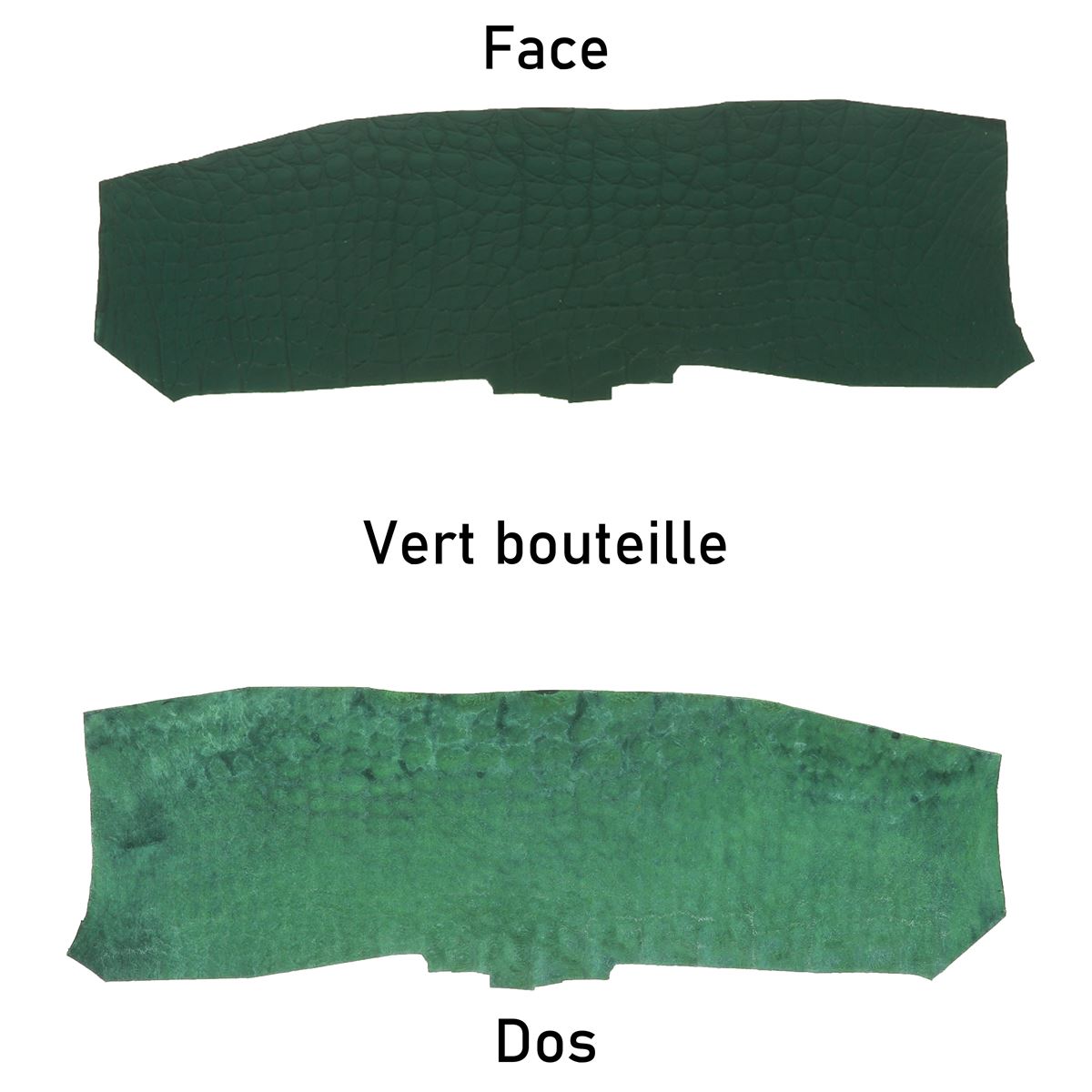 Flanc de cuir d'alligator mat