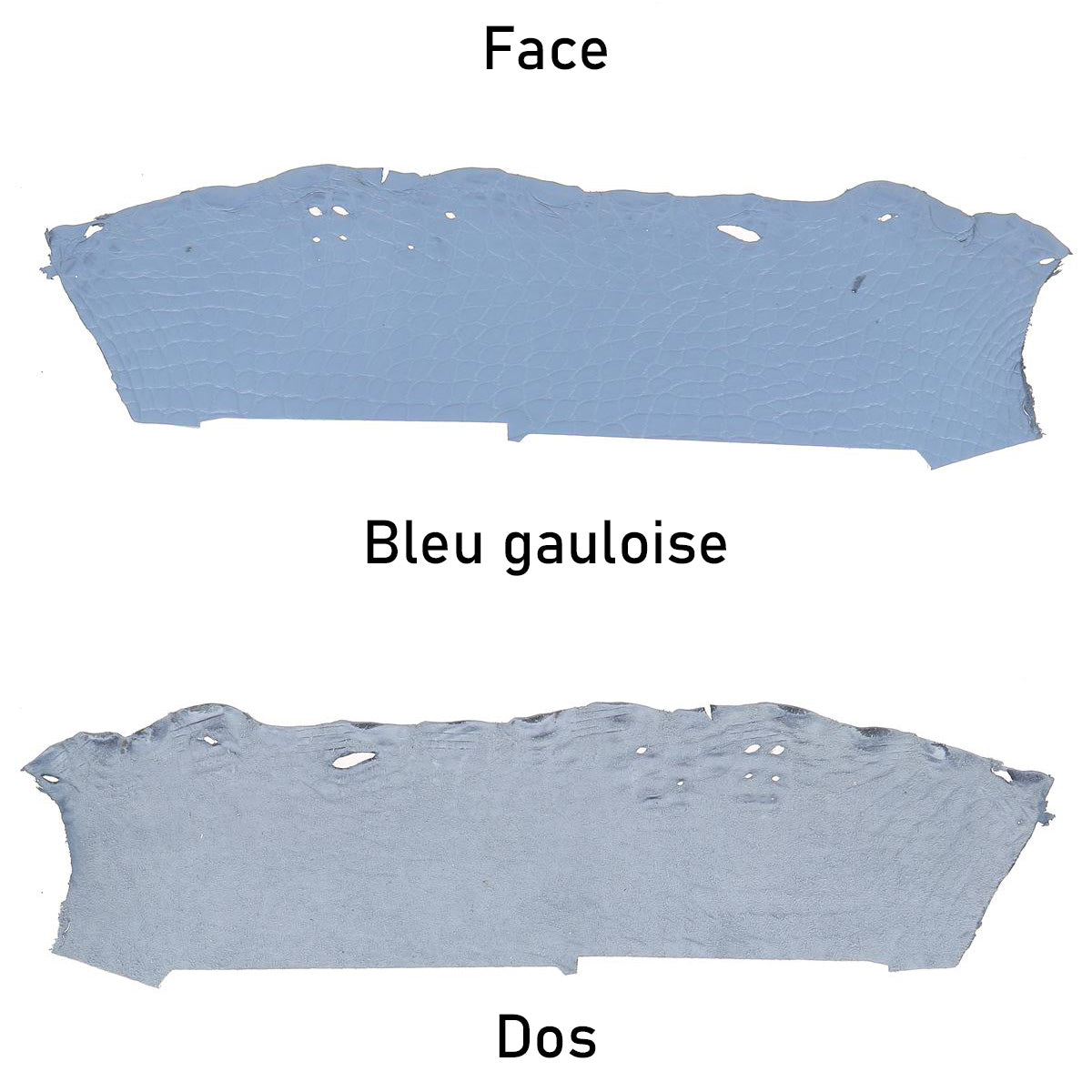 cuir alligator crocodile deco cuir