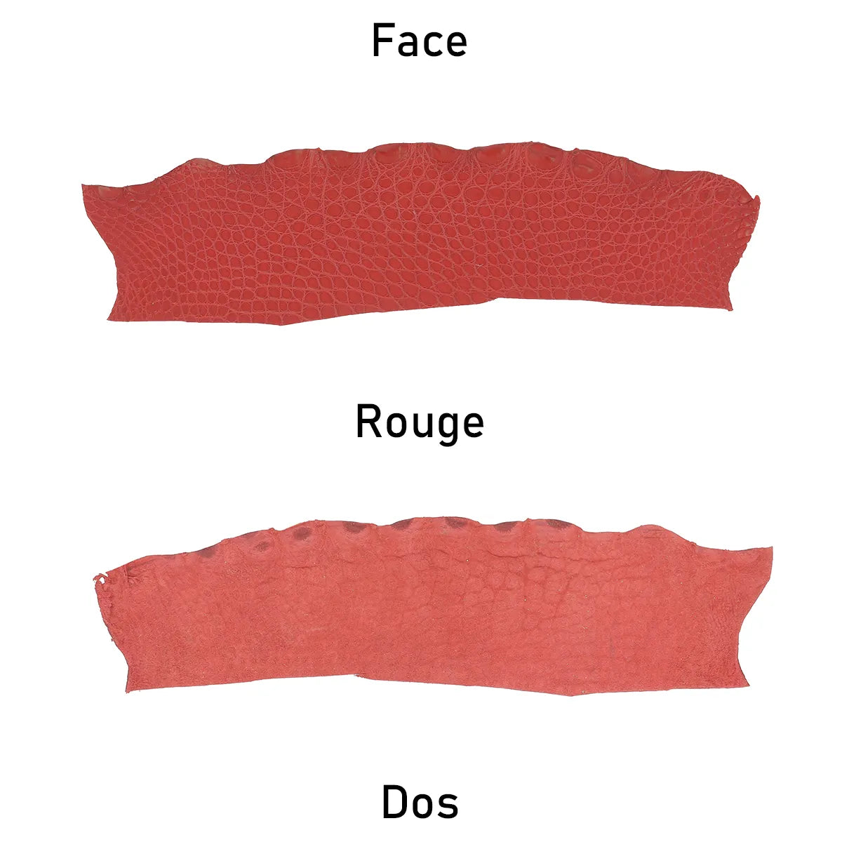 Cuir exotique d'alligator rouge mat, vue de face et de dos de 1,3 mm d'épaisseur. Disponible en deux tailles